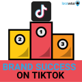 BRAND SUCCESS ON TIKTOK-2