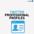 TWITTER PROFESSIONAL PROFILES
