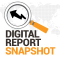 Digital Report Snapshot