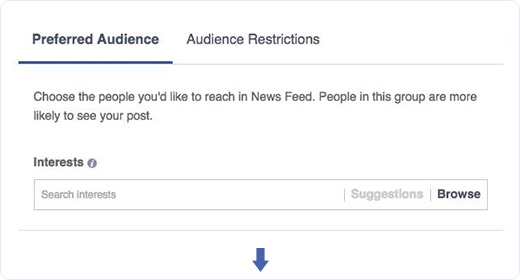 Facebook Preferred Audience